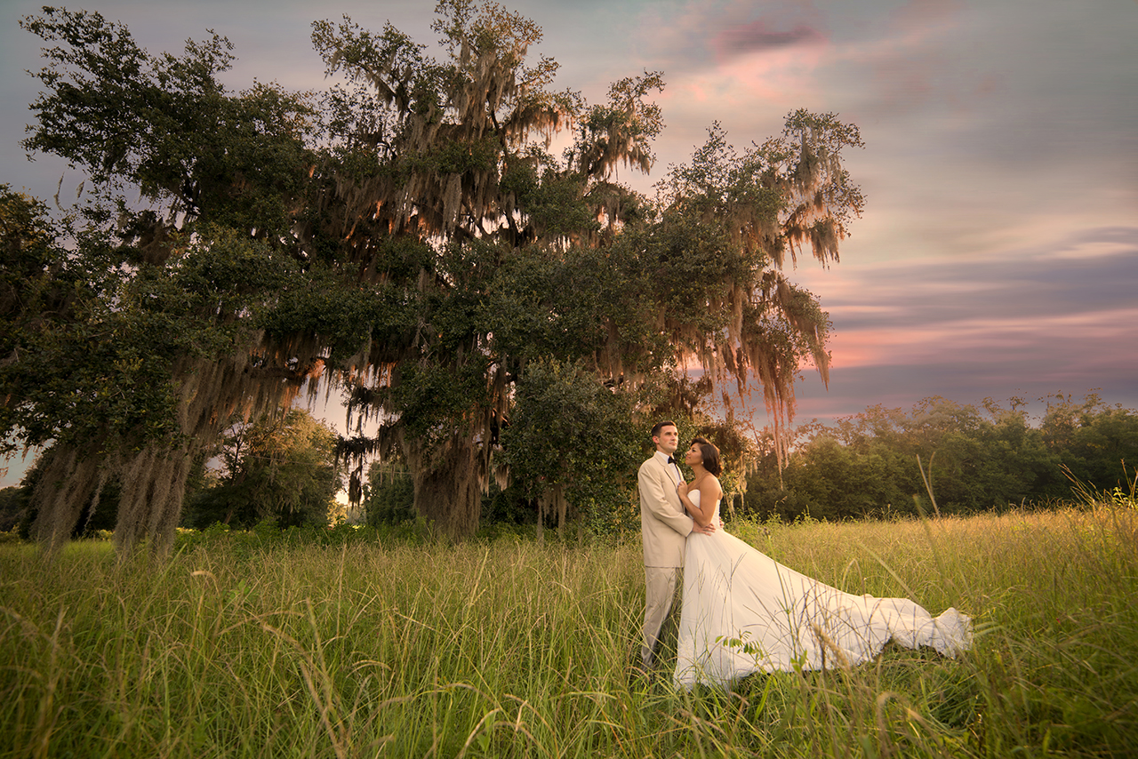 Gainesville tree farm wedding