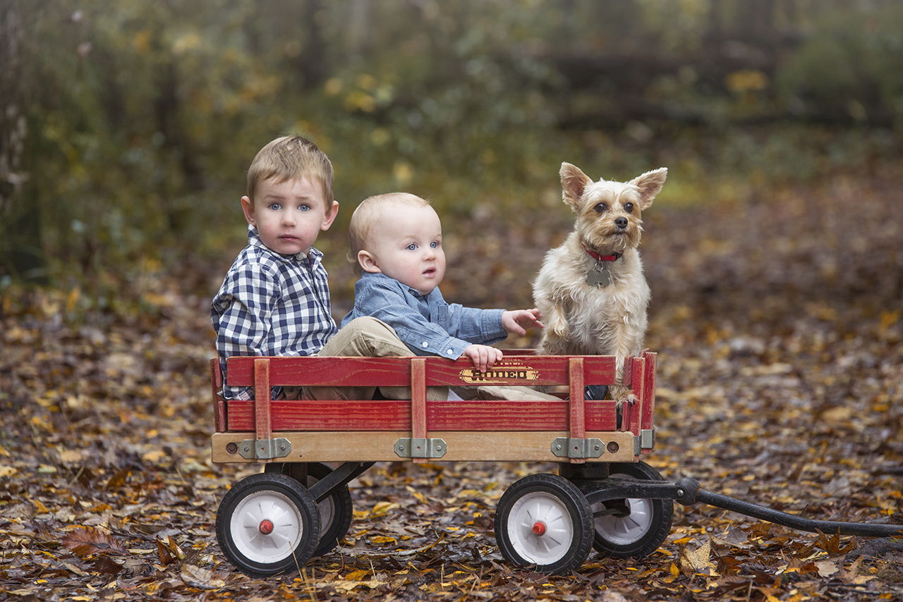 Ocala family photographer