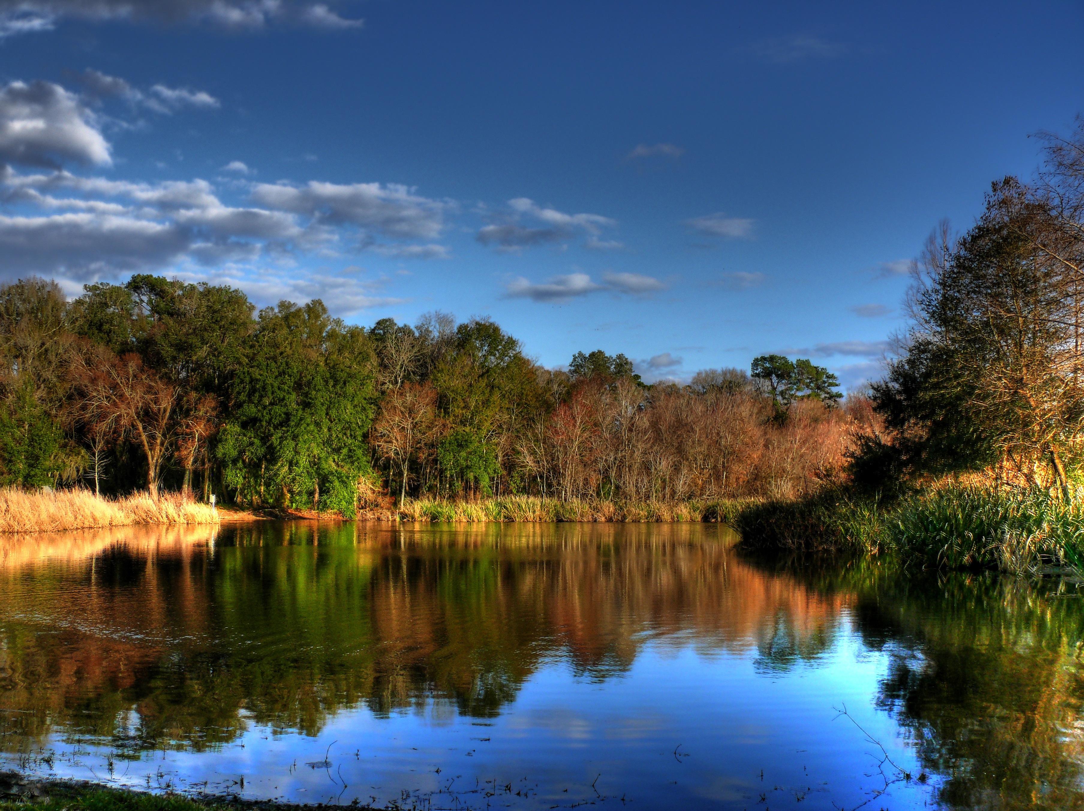 Lake Alice PhotoTale Studio Gainesville Portrait, Wedding and