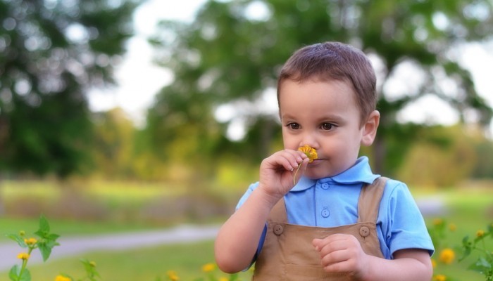 10 easy tips for a succesful photoshoot with your children